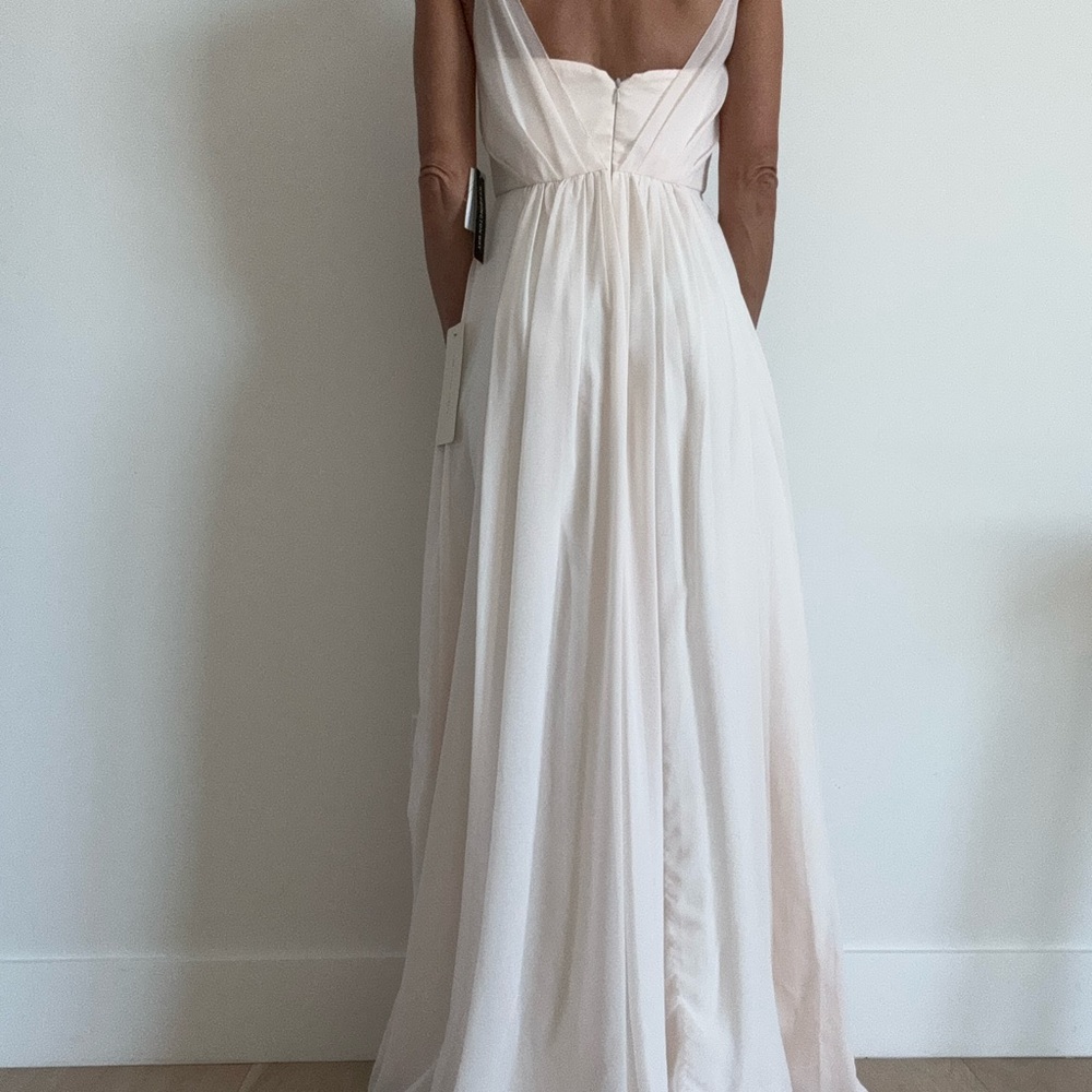 Adrianna Papell Champagne Yvory Blush Crepe Dress - Picture 11 of 12